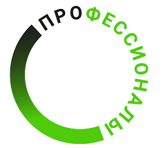 Федеральный проект «Чемпионат «Профессионалы»..